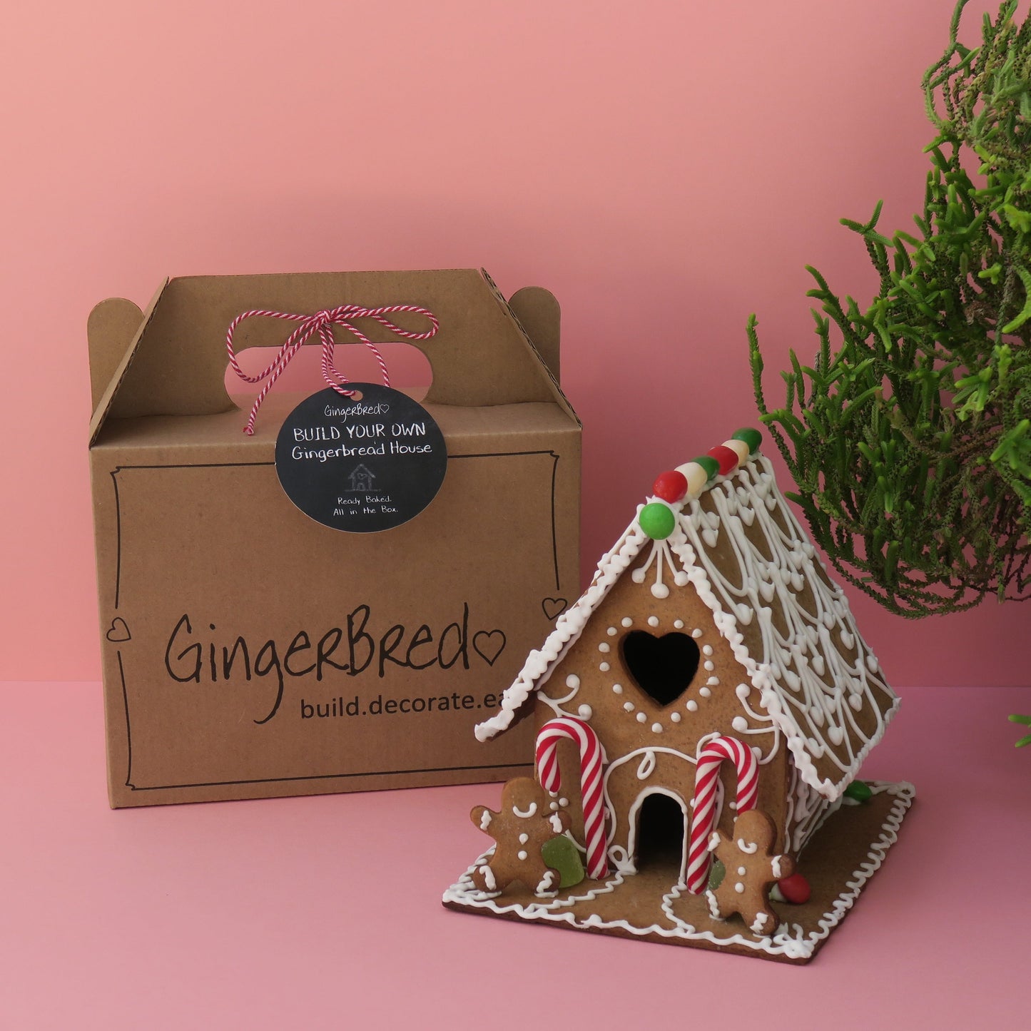 gingerbred gingerbread kit