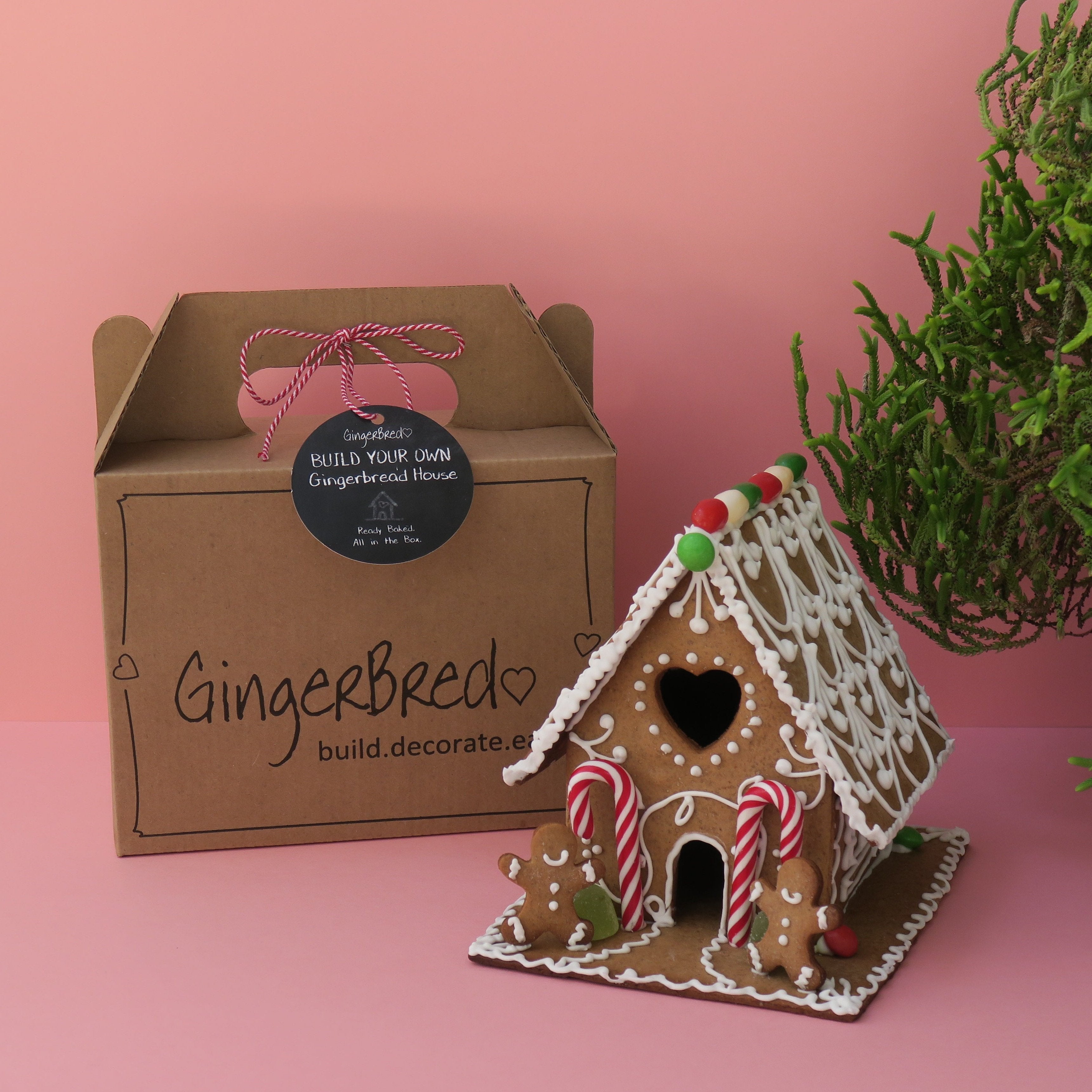 gingerbred gingerbread kit